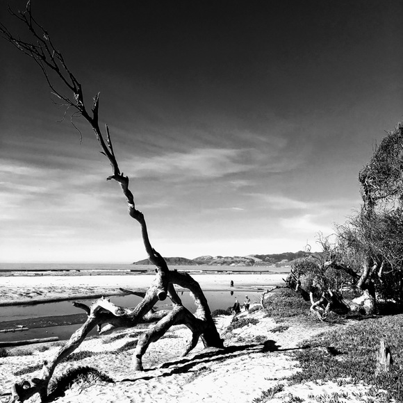 Meet your Posher, Janine - Picture 12 of 14